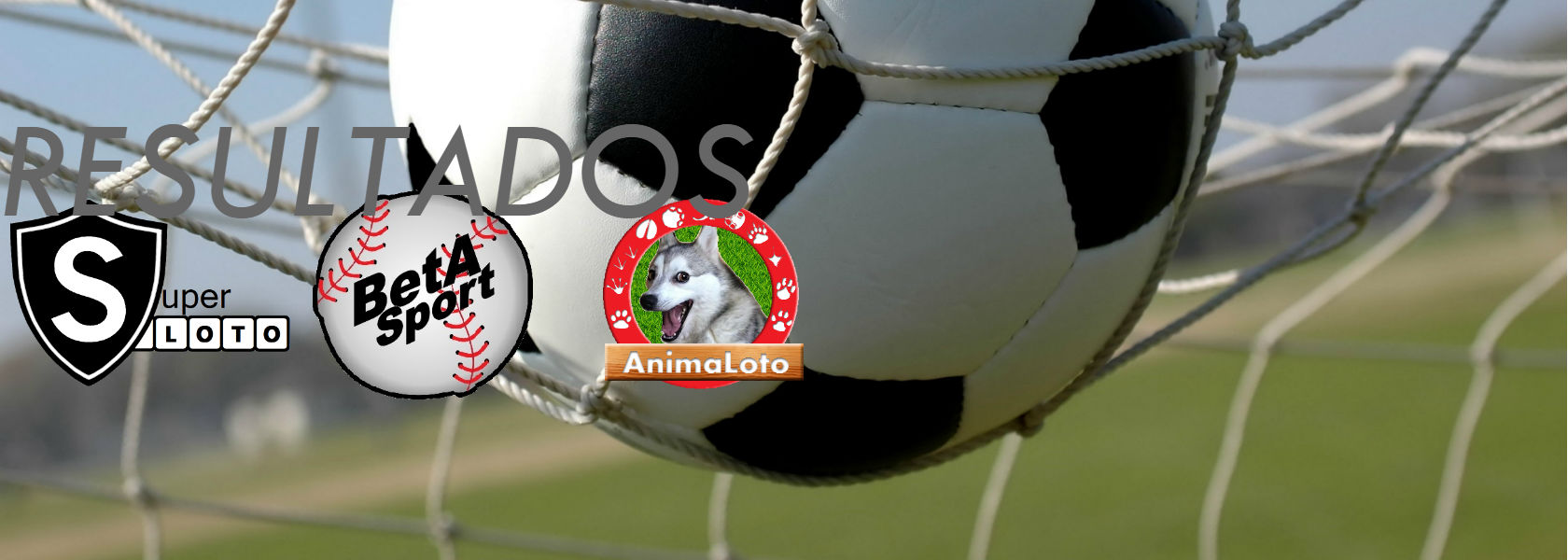 Resultados en vivo